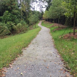 Cheshire Farm Trail, running, trail running, runographer, runography, atlanta